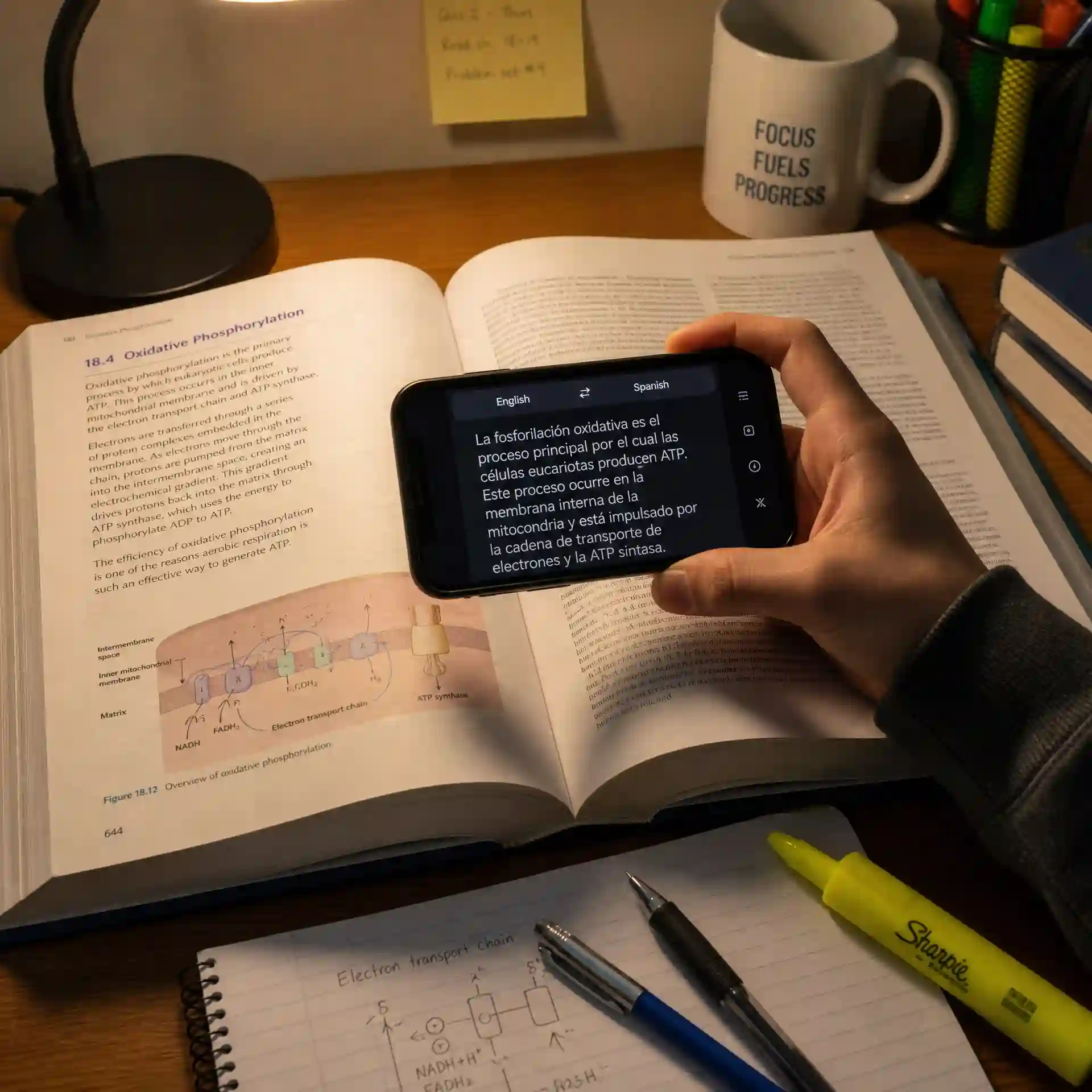 camera-translator study preview helping students read textbooks research papers and notes