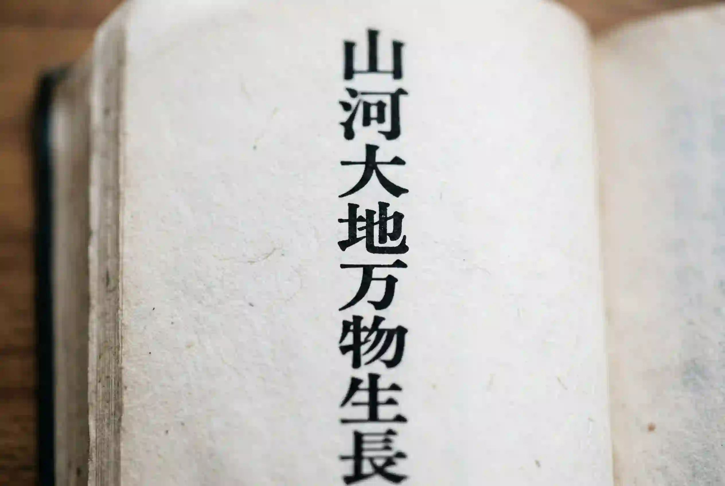 Before and after Kanji image translation with our AI image translator.